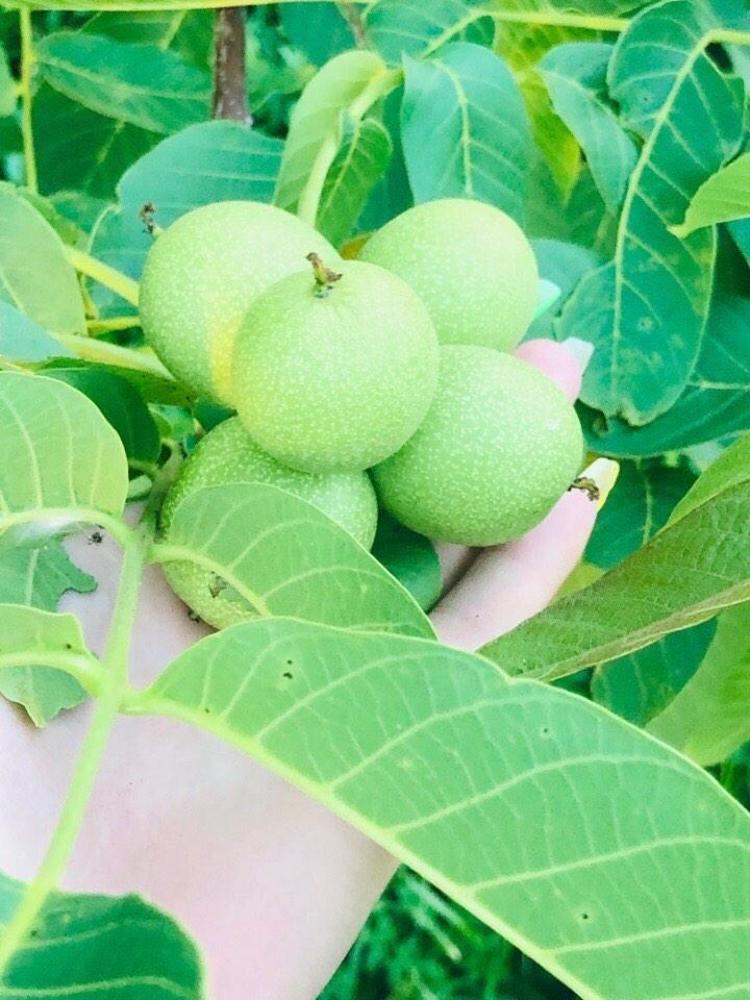 Photograph by Юлия Петракова