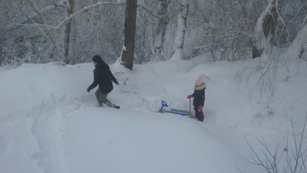 Photograph by Светлана Хоботова