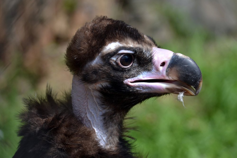 Photograph by Вячеслав Гусаков