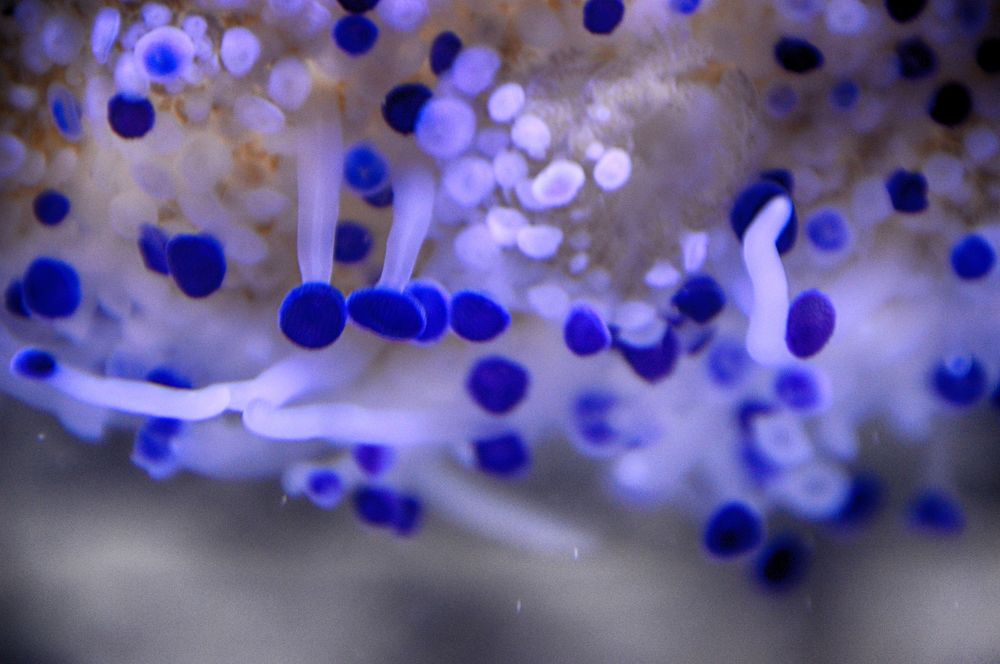 Photograph by Vesna Jakus