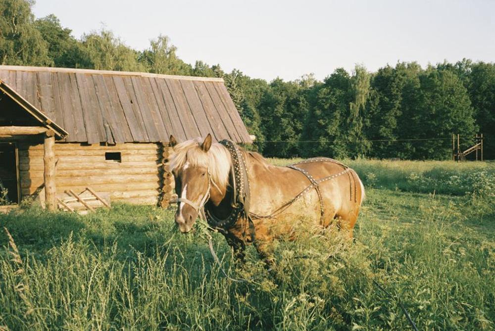 Photograph by Natalia Gotovko
