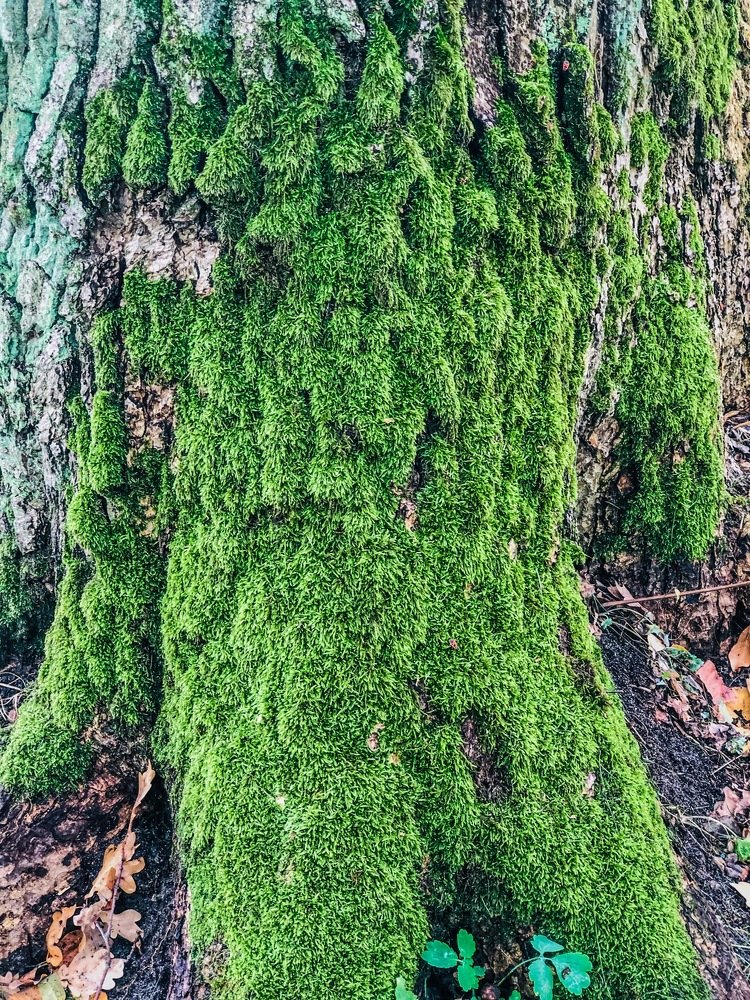Photograph by Олег Бондаренко
