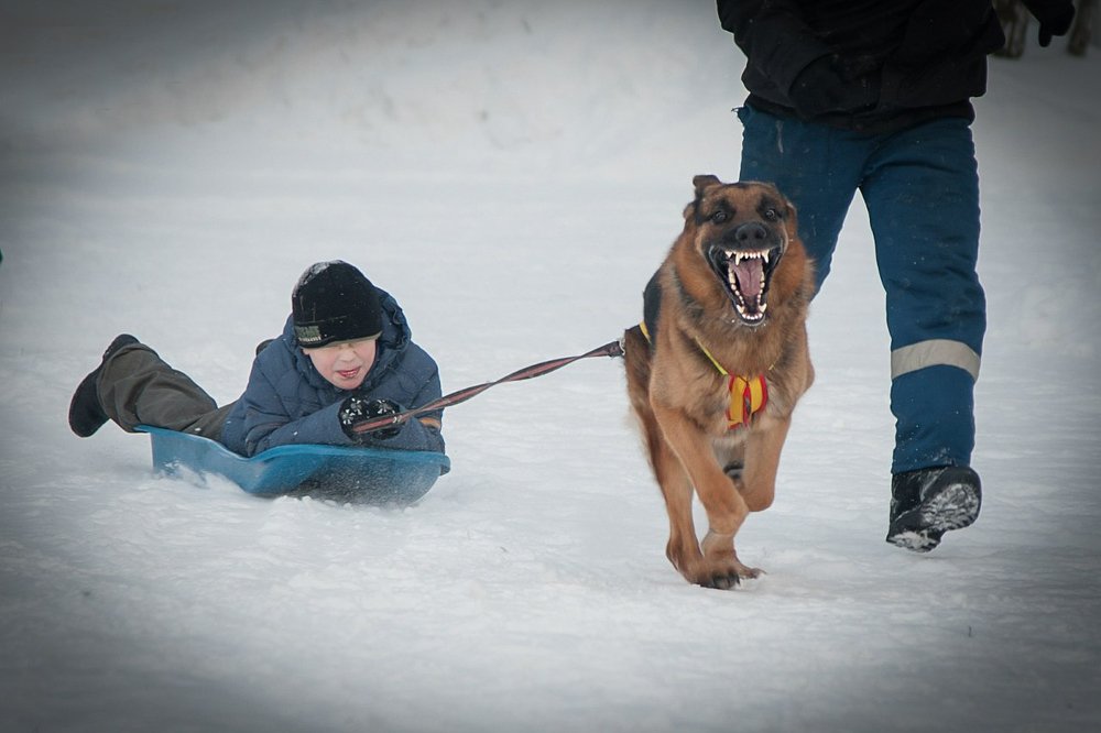 Photograph by Элеонора Чернова