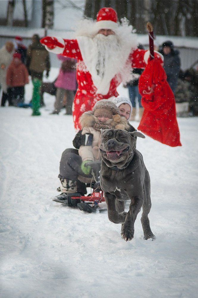 Photograph by Элеонора Чернова