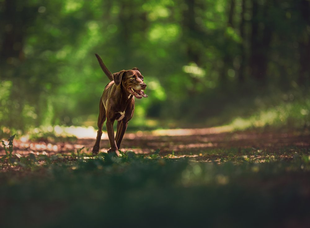 Photograph by Alicja Lelonek-Ball