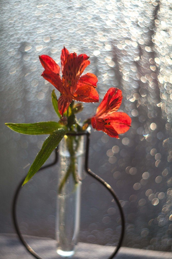 Photograph by Светлана Кавказская