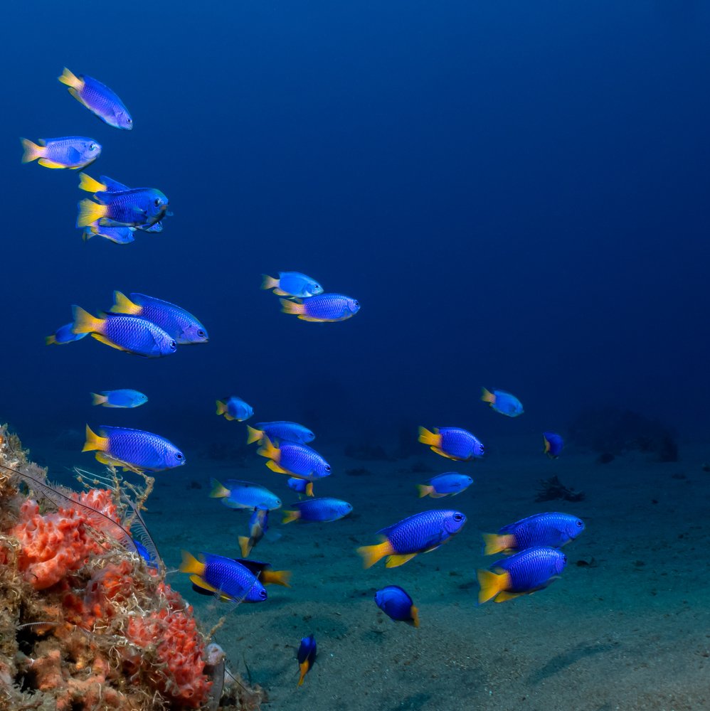 Photograph by Андрей Савин