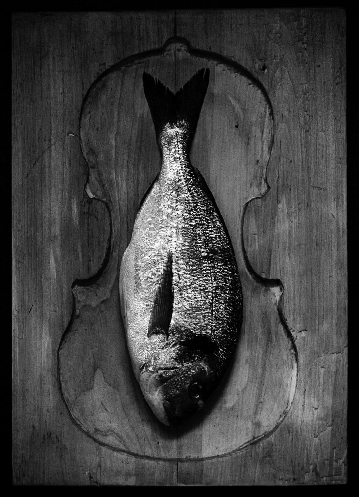 Photograph by Константин Смирнов (Key Gross)