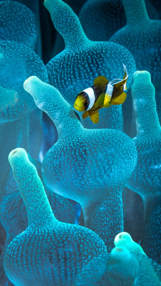 Photograph by Андрей Савин