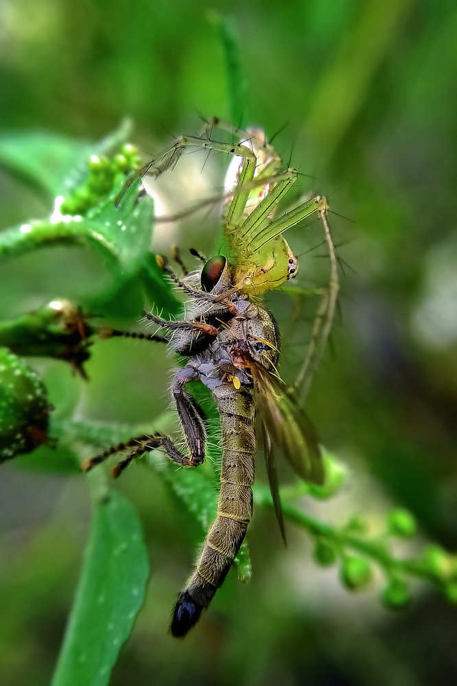 Photograph by Photography Debroto