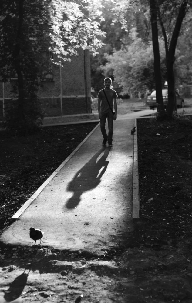 Photograph by Светлана Шурбя