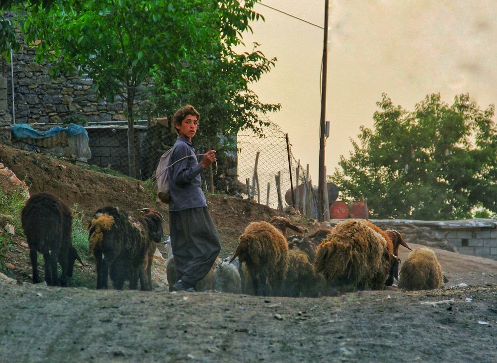 Photograph by omid zarei