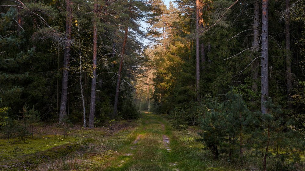 Photograph by Михаил Кушнер