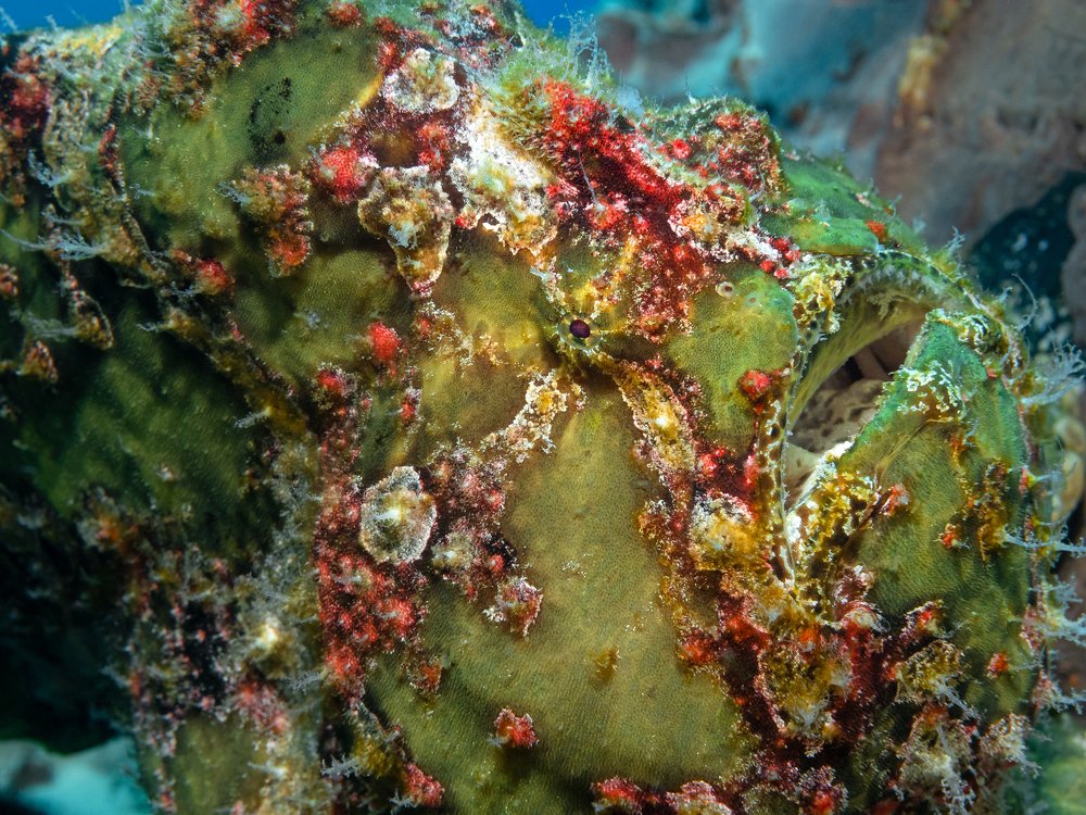 Photograph by Андрей Савин