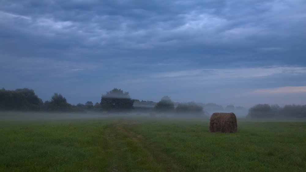 Photograph by Михаил Кушнер