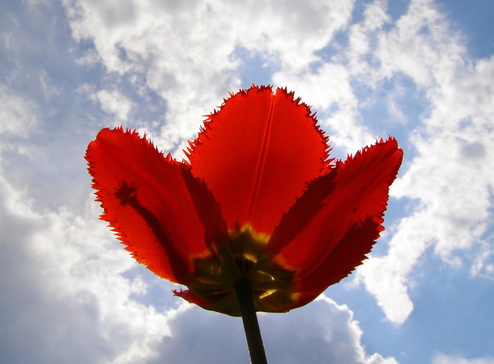 Photograph by Любовь Новикова