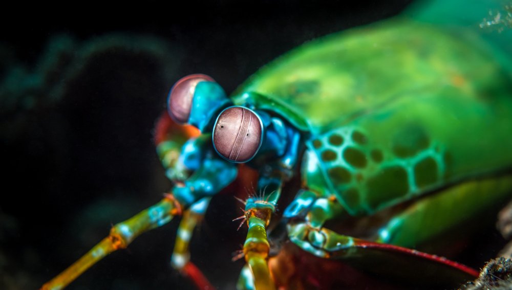 Photograph by Андрей Савин