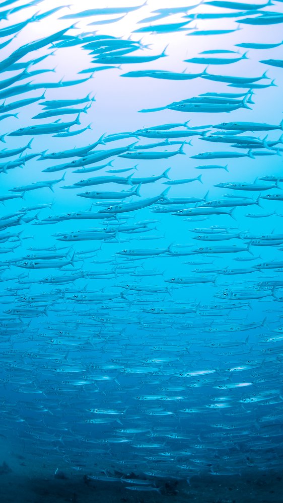 Photograph by Андрей Савин