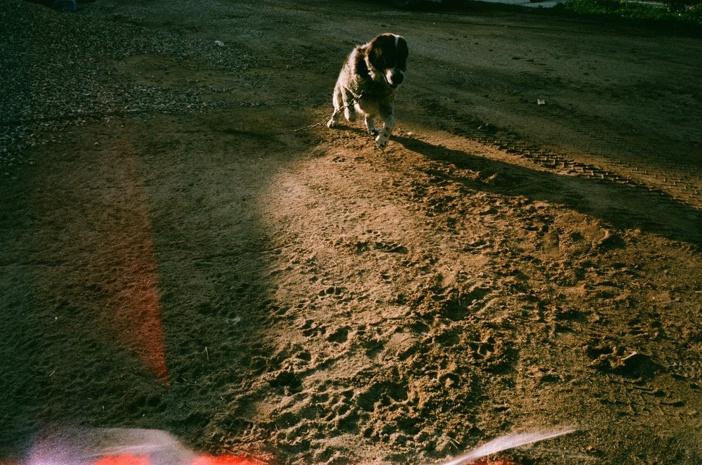 Photograph by Natalia Gotovko