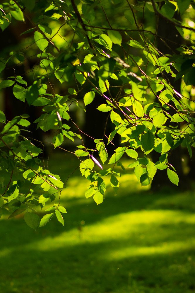 Photograph by Елена Кулакова