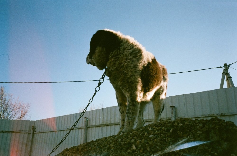 Photograph by Natalia Gotovko
