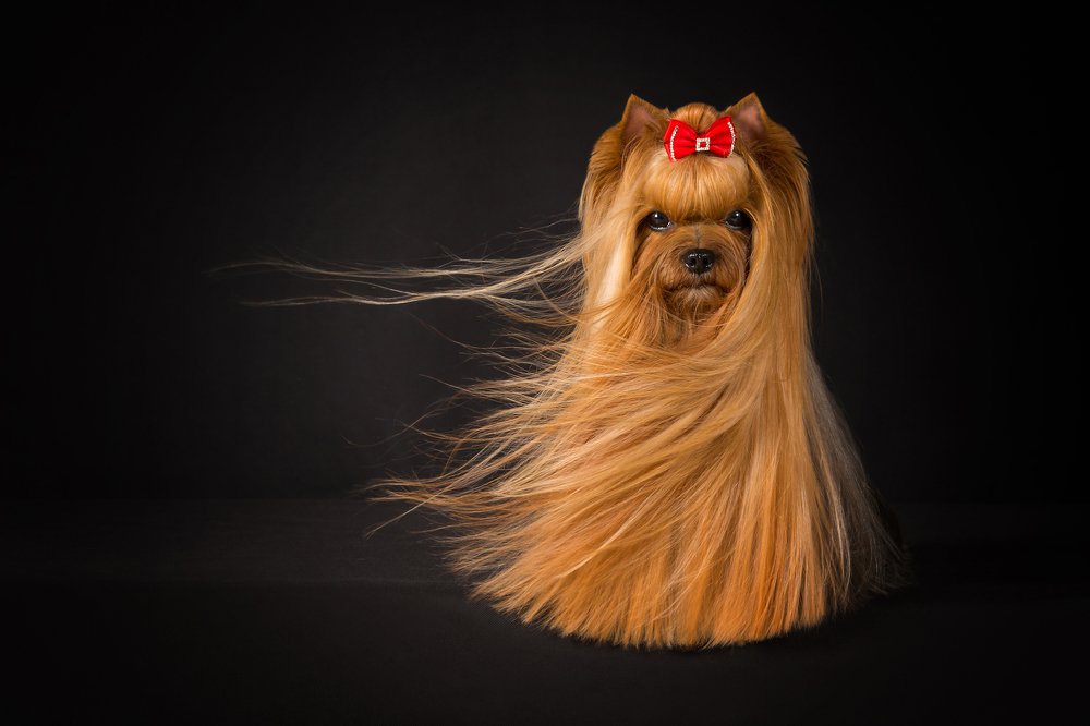 Photograph by Viktoria Baranova