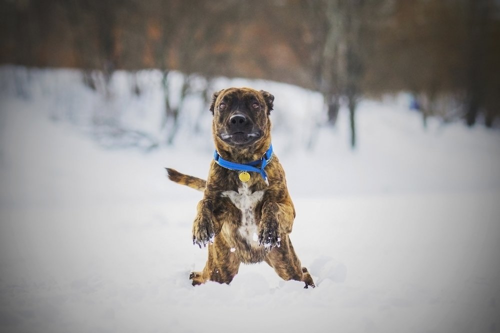 Photograph by Волгина Елена