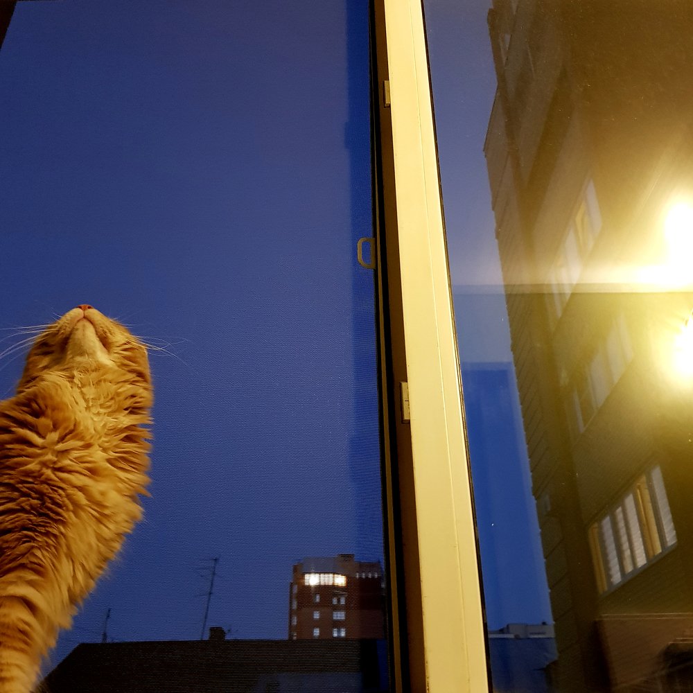 Photograph by Елена Руснак