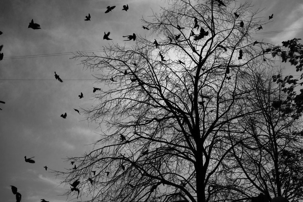 Photograph by Владимир Бакалов