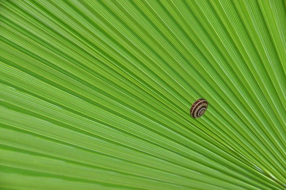 Photograph by Игорь Кац