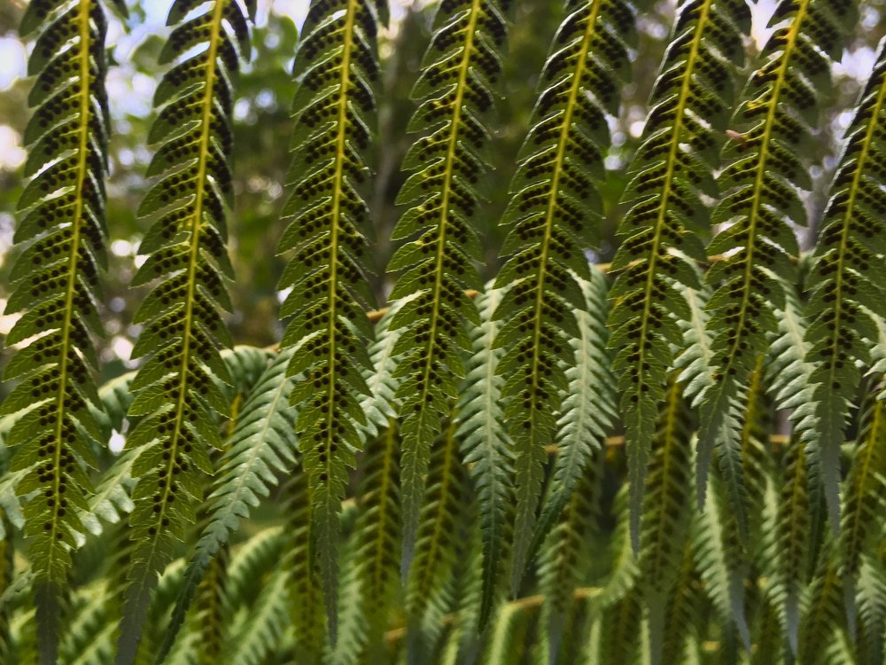 Photograph by Kelly Vivian