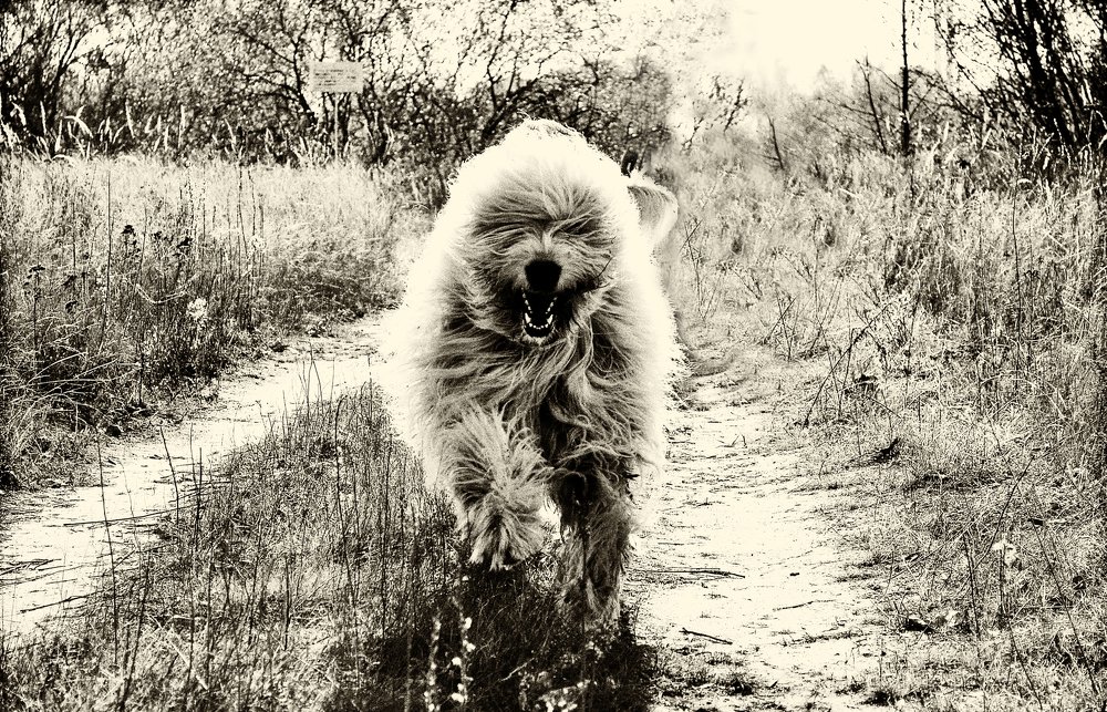 Photograph by Cергей Землянский