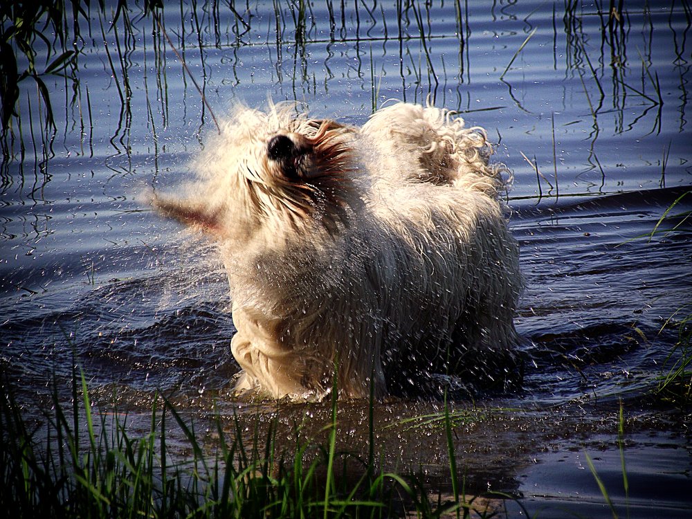 Photograph by Cергей Землянский