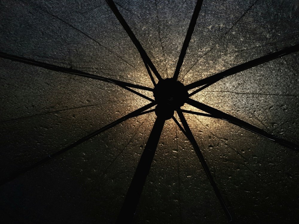 Photograph by Владимир Бакалов