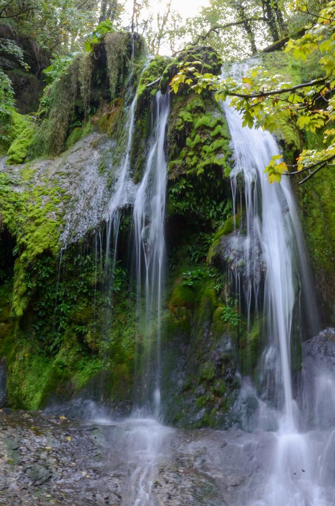 Secret waterfall in wood