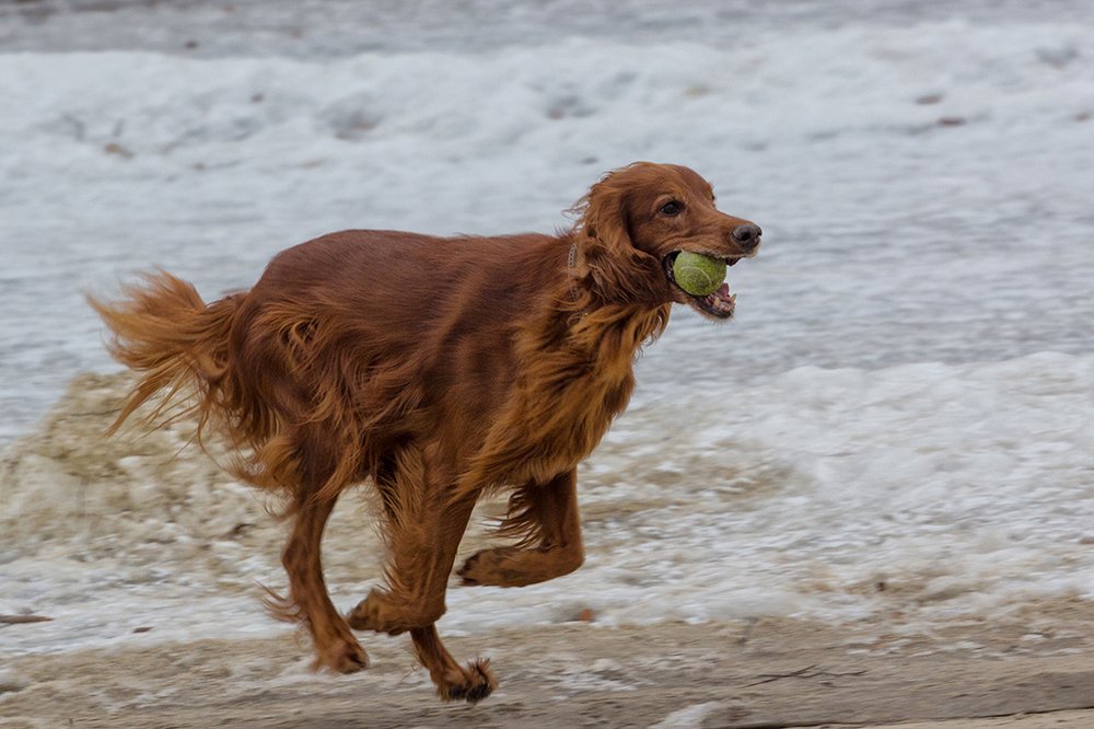 Забег с мячом