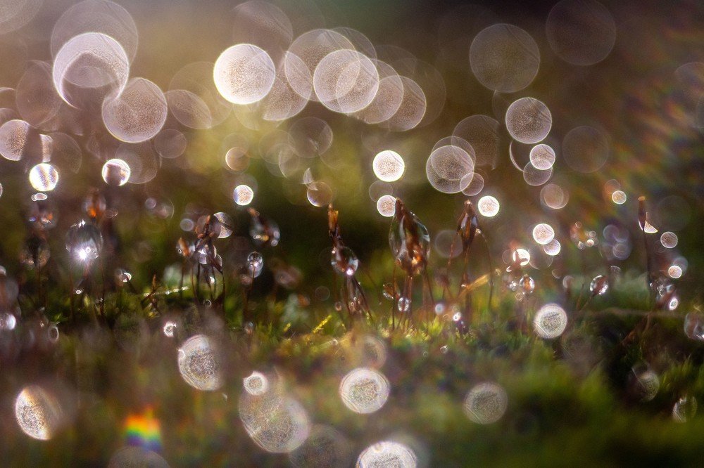 Photograph by Татьяна Конопацкая