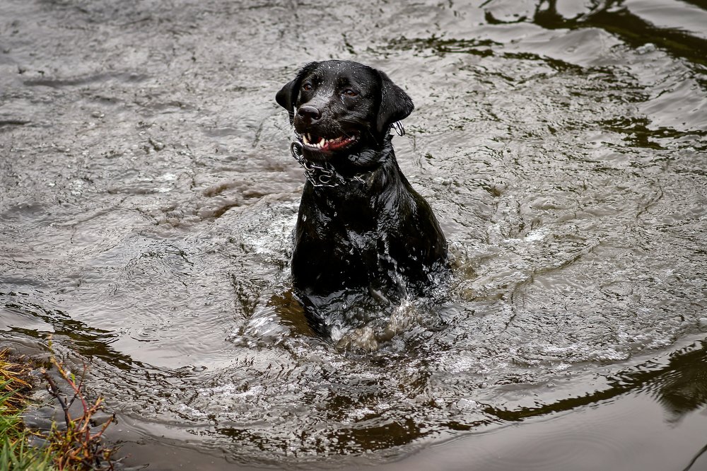 Photograph by Анастасия Донская