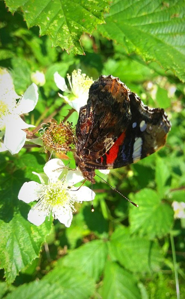 Photograph by Dmitrijs Zigilijs