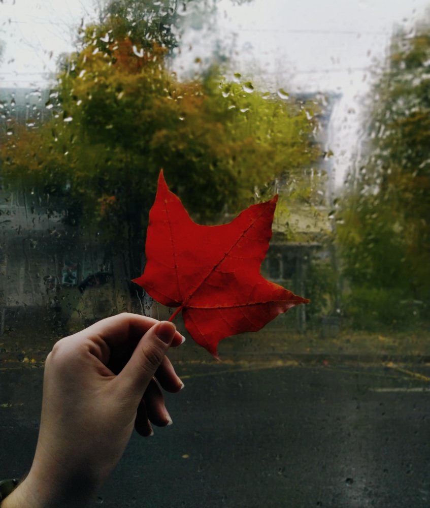 Photograph by Мария Захаркова
