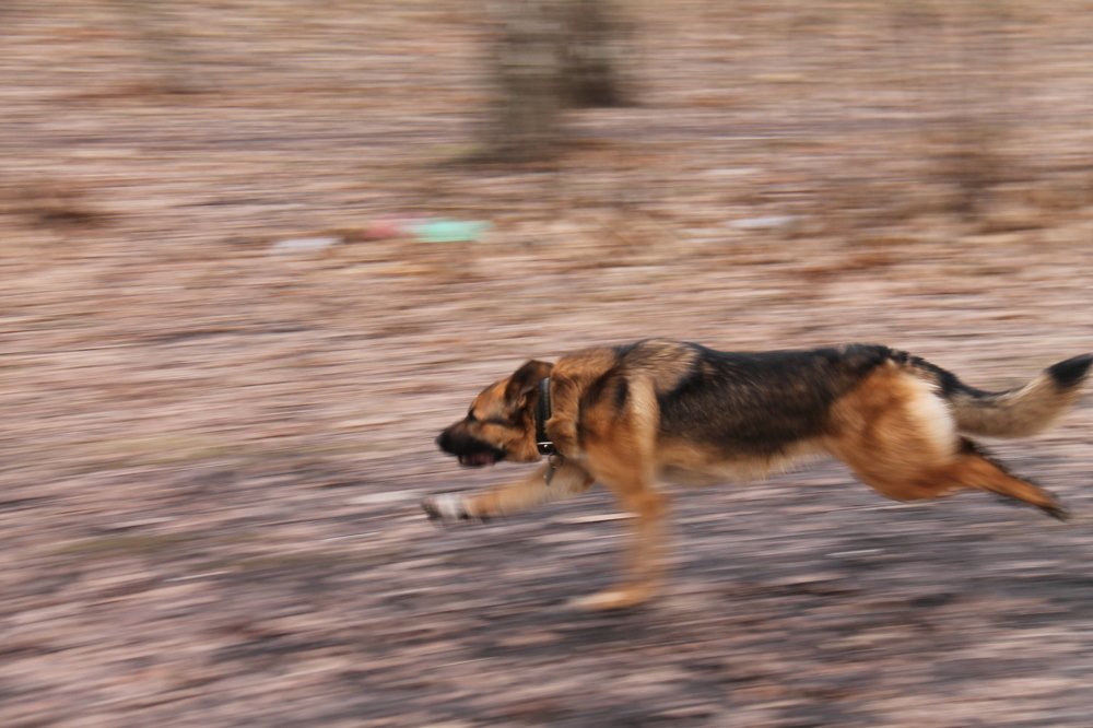 Photograph by Игорь Улитин