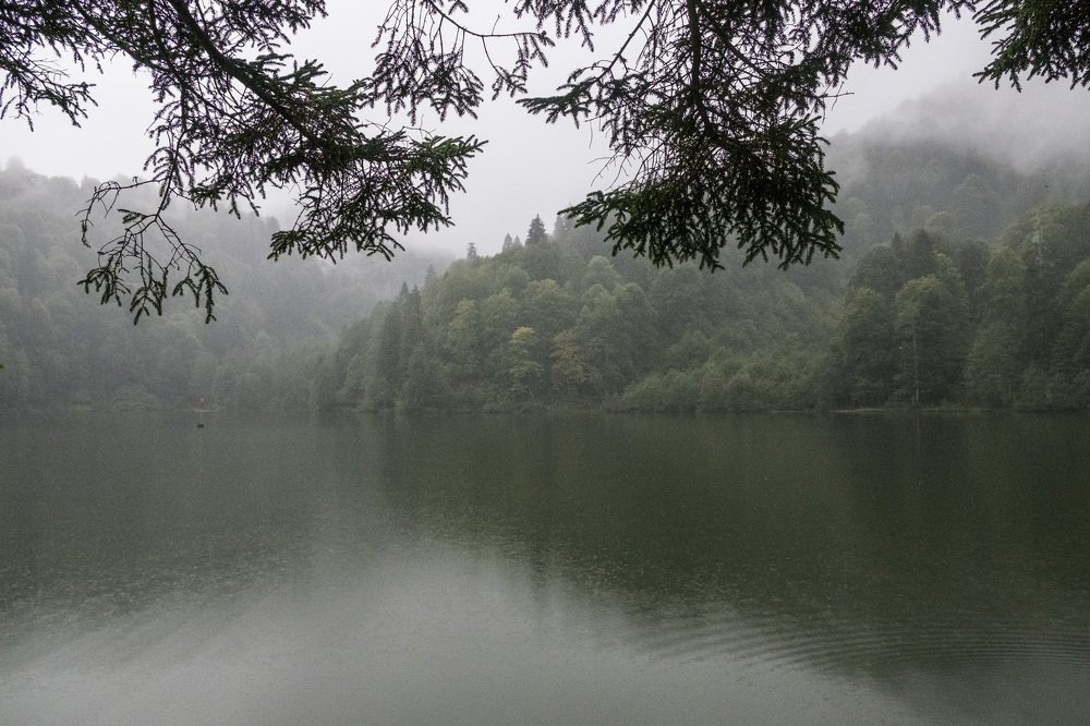 Contemplating in the rain