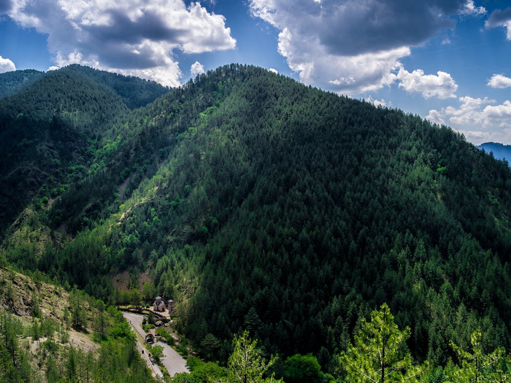 Photograph by pouyan safavi