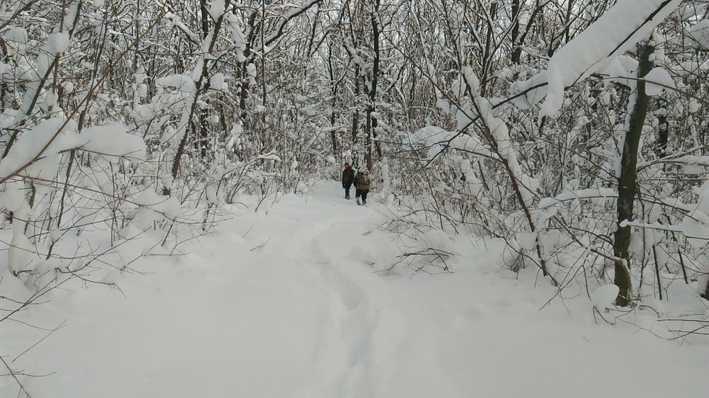 Photo #3667182