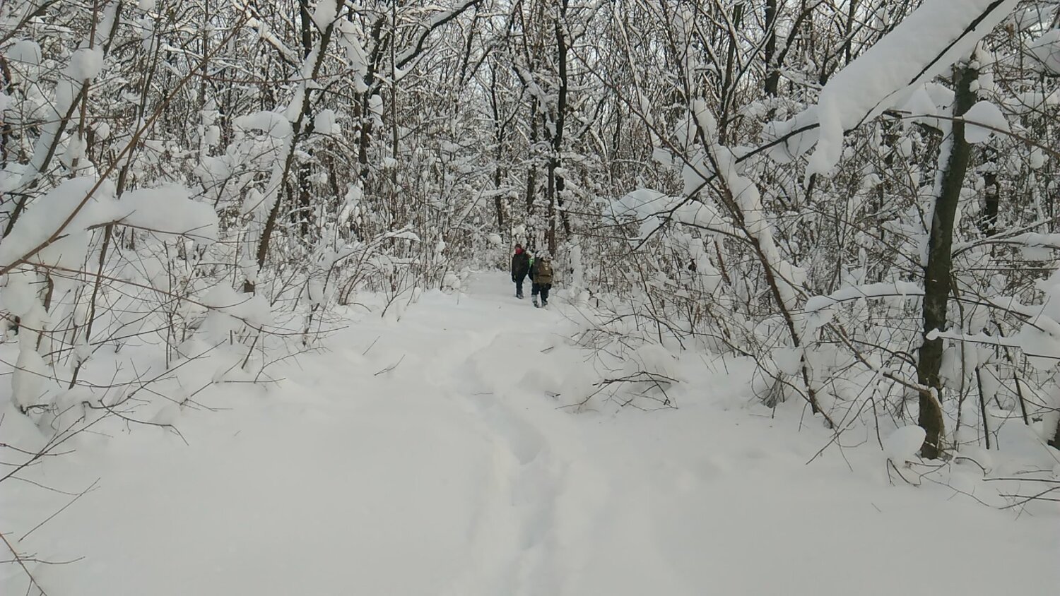 Photo #3667182