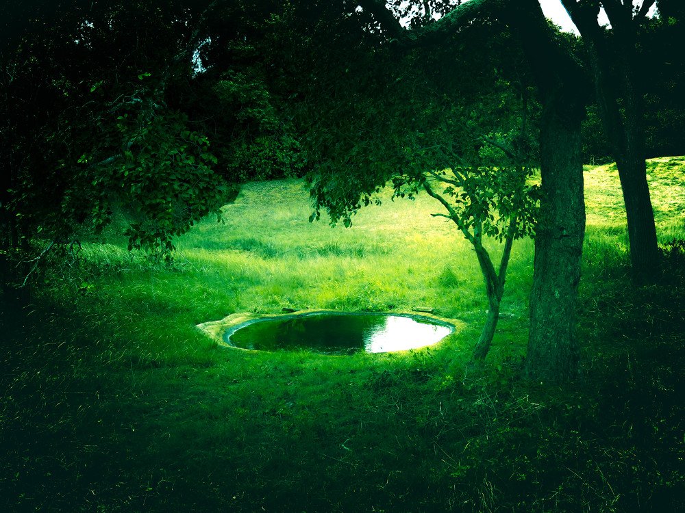 Photograph by saravanan