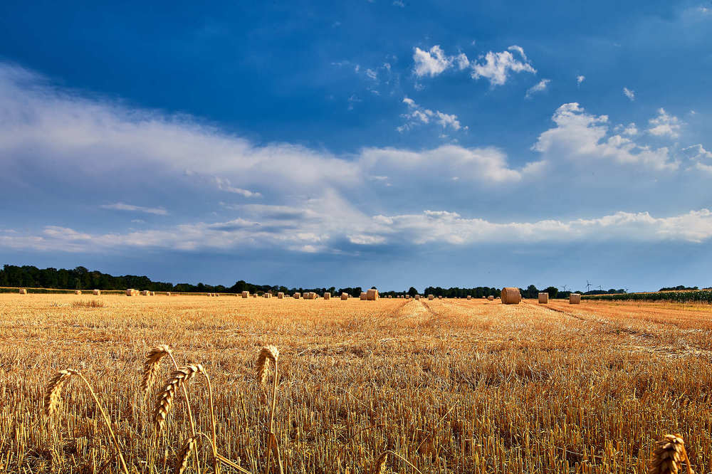 Photograph by Юрий