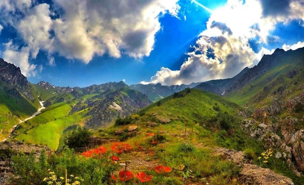 Photograph by Yuriy Kim