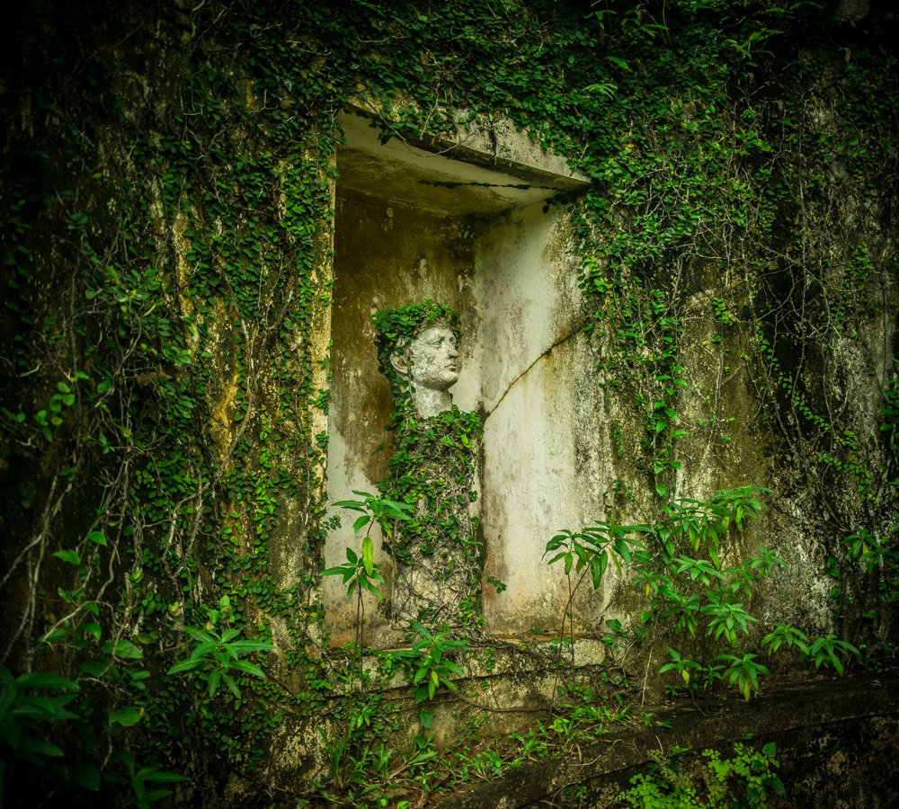 Photograph by pouyan safavi