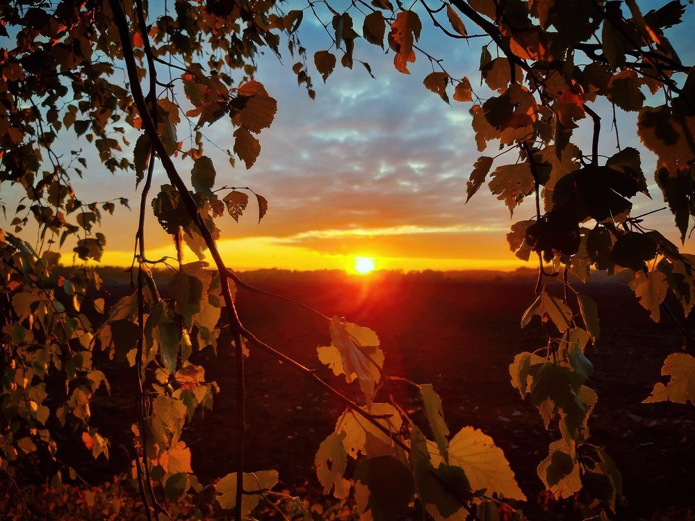 Photograph by Шепелев Дмитрий